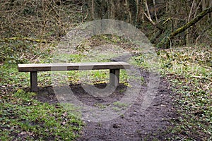 Public seating park bench made form wood in a woodland setting with mud trail path going past