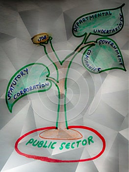 public sector classification on tree concept abstract
