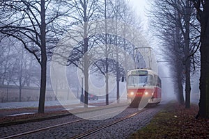 Public transport tram in the fog