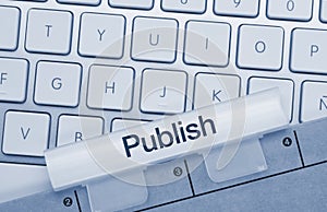 Publish - Inscription on Blue Keyboard Key