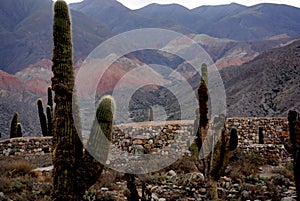 Pucara de Tlcara, Jujuy, Argentine Northern