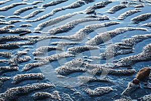 Puckered texture of sand beach photo