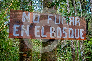 PUCON, CHILE - SEPTEMBER, 23, 2018: Close up of wooden informative sign of no smoking in the forest in Pucon recreative photo