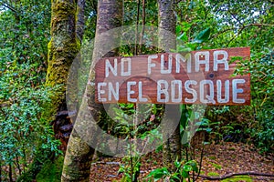 PUCON, CHILE - SEPTEMBER, 23, 2018: Close up of wooden informative sign of no smoking in the forest in Pucon recreative photo