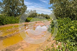 Pud muddle after the rain in agriculture fields.