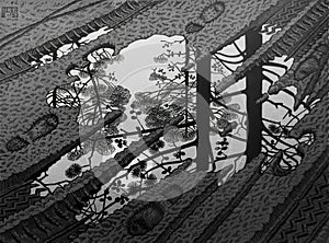 Puddle, a 1952 woodcut by Dutch graphic artist M. C. Escher