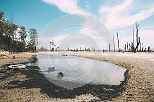 Puddle on a beach