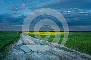 A puddle on a country road through fields and evening clouds