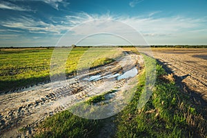 Puddle on dirt road, fields and clouds on the sky