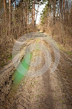 Puddle on a dirt road in the forest, April day