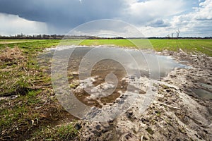 A puddle in the field and a cloudy sky