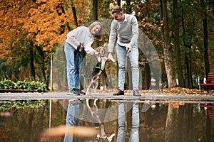 By the puddle. Lovely couple are with their cute dog outdoors