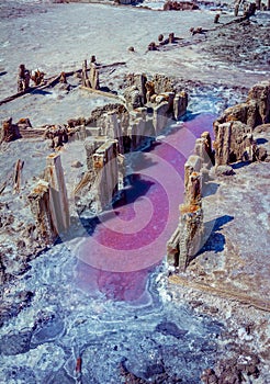 Puddle of pink salt lake brine with crust on a surface