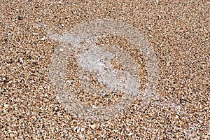 Puddle on shell beach