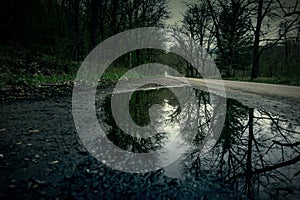 Puddle slough next to the street on a rainy depressive day