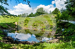 Puddle on Vogel