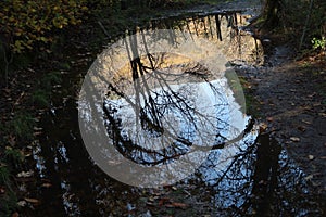 Puddle of water on a path in the Morales reservoir on the Ruta de los CastaÃÂ±os in Rozas de Puerto Real, Madrid. Spain photo