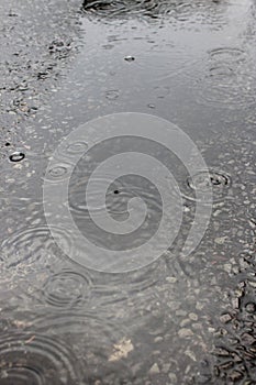 Puddle of water on a road with rain drops rippling off surface