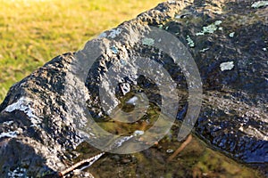 Puddle in a rock with moss