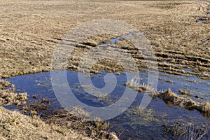 puddles on an agricultural field after rains and snowmelt