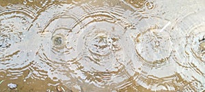 puddles and raindrops photo