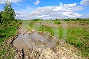 Puddles on rut road