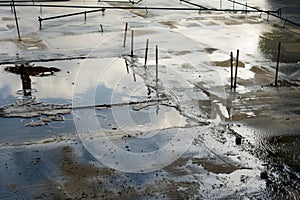 puddles on an unfinished concrete floor with rebar sticking out