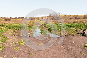 Puddles with water after the rains remained on the hiking trail leading along the route in Yehudia National Natural Park in