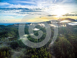 Puebla forest and mountains