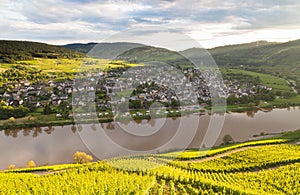 Puenderich on the Mosel Germany