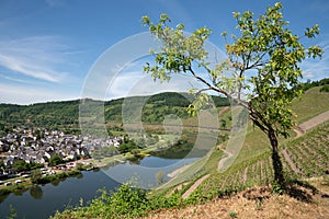 Puenderich, Moselle, Germany