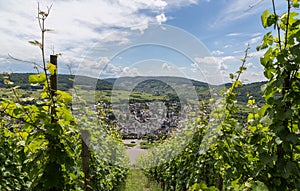 Puenderich at the Moselle Germany Europe