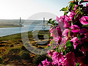 Puente Internacional del Guadiana, Bridge over the Guadiana River in Ayamonte, Huelva. Spain photo