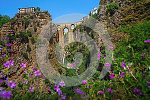 Puente Nuevo Bridge with El Tajo Gorge Waterfall and Flowers - Ronda, Andalusia, Spain photo