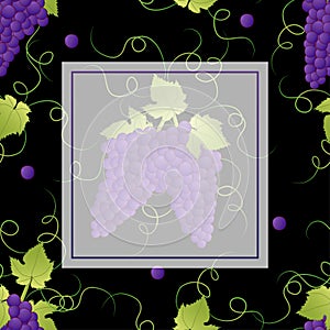 Pueple Grape Banner on Black Background2