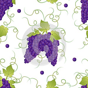 Pueple Grape Seamless on White Background