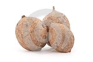 Pueraria mirifica or white kwao krua fruit isolated on background with clipping path