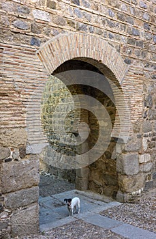 Puerta de Alcantara Gate. Toledo, Spain