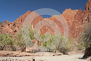 Puerta del Diablo, aka Devils Gate, red rock formation in dry Red Canyon Quebrada de Palmira near Tupiza, Bolivian Andes- Bolivia