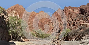 Puerta del Diablo, aka Devils Gate, red rock formation in dry Red Canyon Quebrada de Palmira near Tupiza, Bolivian Andes- Bolivia