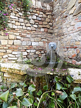 Puerta Oscura gardenr-Fountain-MÃÂLAGAAndalusia-Spain photo