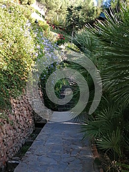Puerta Oscura gardens-Malaga-Andalusia