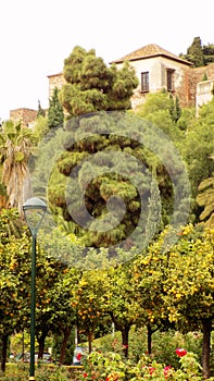 Puerta oscura gardens Malaga Andalusia Spain photo