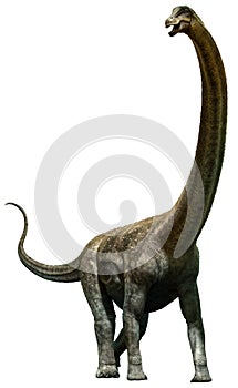 Puertasaurus