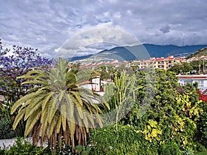 Puerto de la Cruz on the Canary Island of Tenerife, view over the green district of photo
