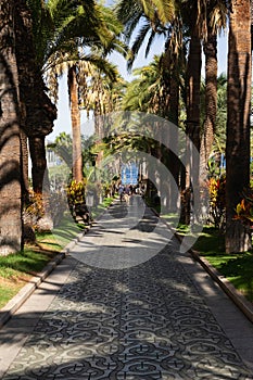 PUERTO DE LA CRUZ, TENERIFE - October 2023: Tourists enjoy the sun on the Paseo Martianez promenade