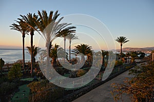 Puerto del Rosario, Fuerteventura - December 28, 2018: Beautiful view to tropical island resort garden with palm trees, flowers