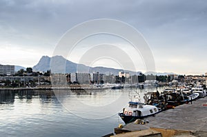 Puerto fishing below the mountain IV