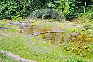 Puerto Galera Philippines, A carabao in a river photo