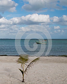 Puerto Juarez fishing boat in harbor as seen from beach as seen from beach in Puerto Juarez harbor in Cancun Mexico